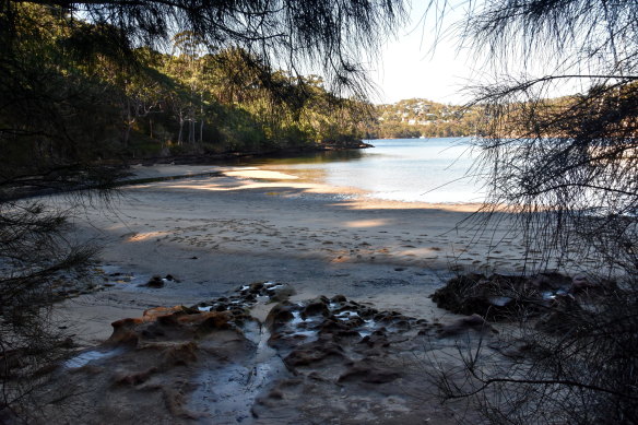 Flat Rock Beach and Middle Harbour in Garigal Natio<em></em>nal Park at low tide.