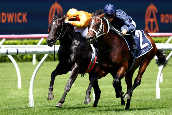 Switzerland gets the better of Shangri La Express in the Pierro Plate at Randwick.