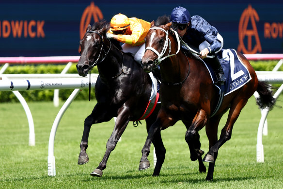 Switzerland in the dark blue Coolmore silks gets to Shangri La Express in the Pierro Plate at Randwick.