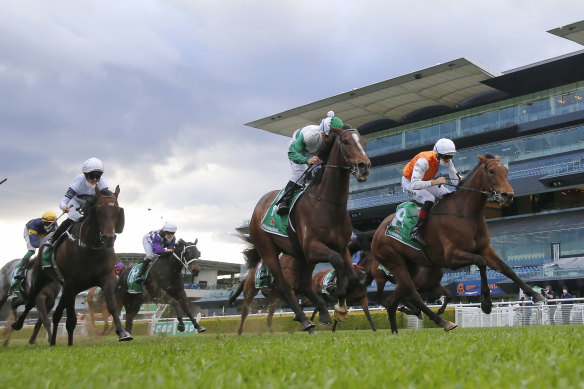 Montefilia (right) races to victory in Sydney on Saturday.