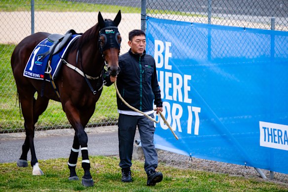 Ka Ying Rising on Tuesday at Canterbury.