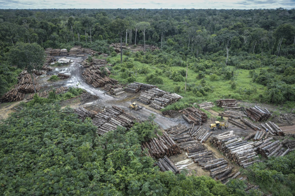 An illegally deforested area in Brazil's Amazon basin. 