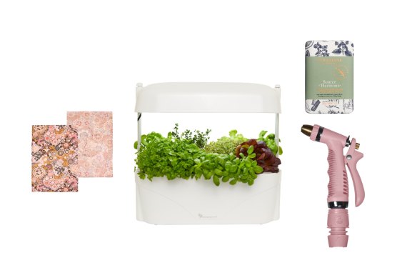Art tea towels; Self-watering “Kitchen Garden”; “Harmony” soap; “Rusty Rose” spray gun.