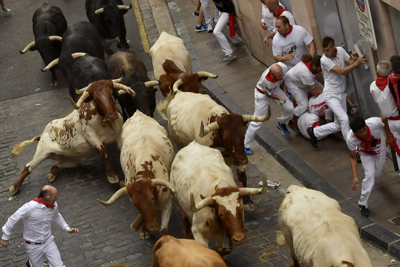 Revellers run next to fighting bulls in Pamplona.
