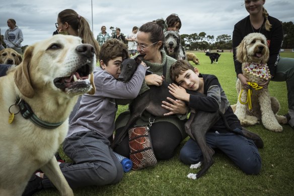 Georgi Anderson and sons Charles and Arthur are packing a lifetime of experiences into a few months for their dying whippet, Artie.