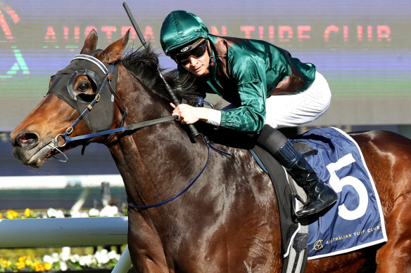 Diamond Diesel takes winning city form into the South Grafton Cup.