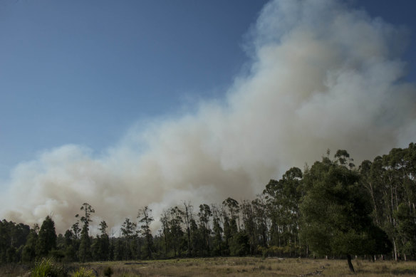 The planned burn at Tostaree