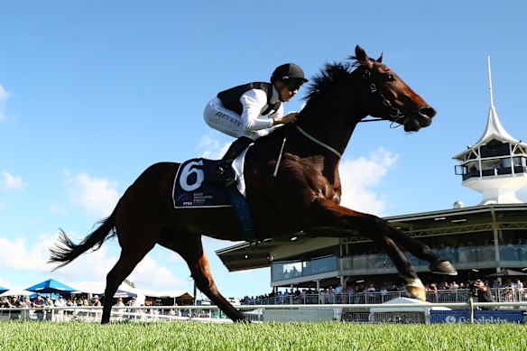 Zealously wins at Scone’s standalone meeting in May. 