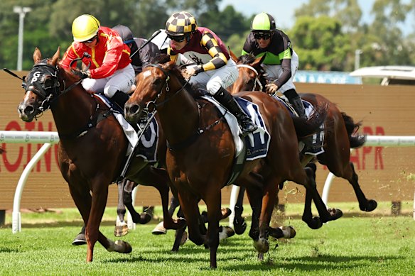 Zac Lloyd takes Barrengarry to victory in the Midway handicap on Golden Slipper day.