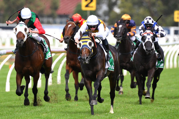 Quick Thinker races clear in the Tulloch Stakes at Rosehill last week.