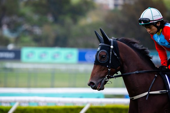 Ka Ying Rising has settled into Canterbury well for a second straight year.