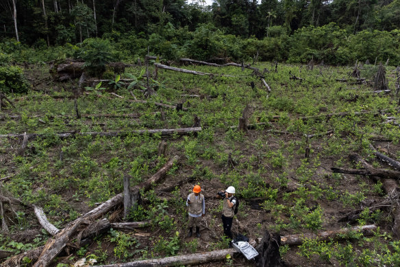 Environmental monitors from Yamino, Peru, walk through a coca field outside their village. 