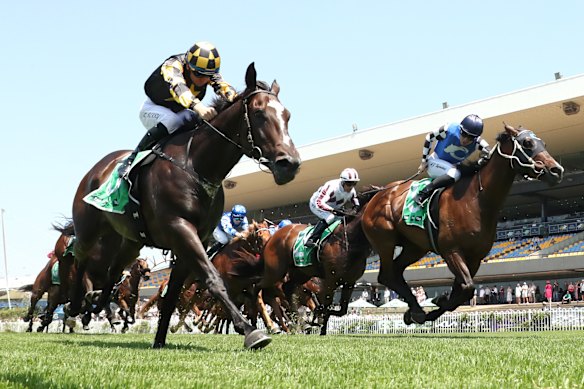 Racing resumes at Rosehill on Wednesday.