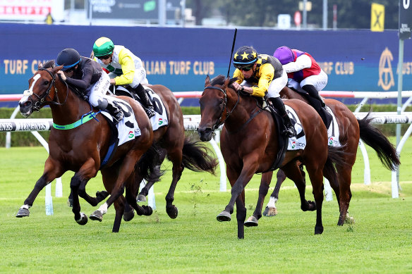 Nash Rawiller launches Terra Mater to victory in a Midway Handicap at Randwick last month.