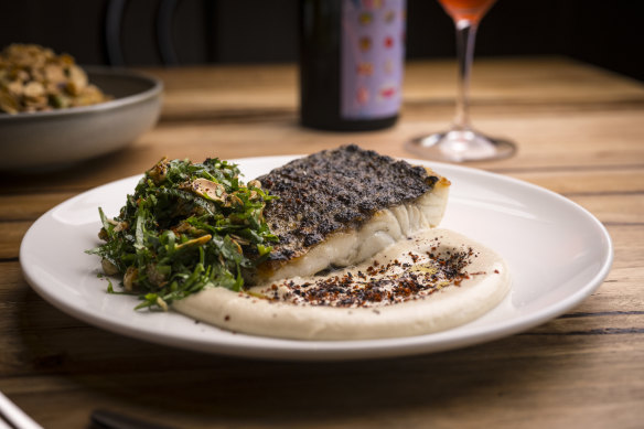 Fish of the day (barramundi on this occasion) with tahini, walnuts, pine nuts and almonds.