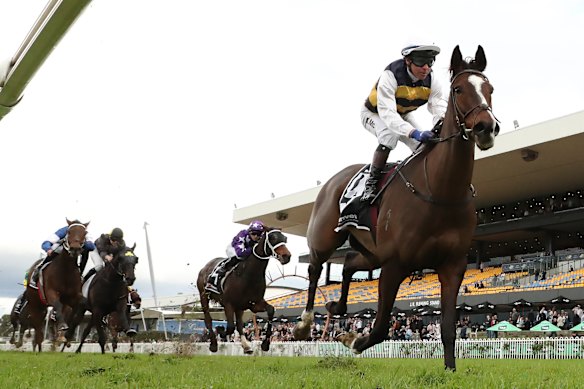 Kerrin McEvoy e King Pedro venceram a Stayers Cup em Rosehill em junho.