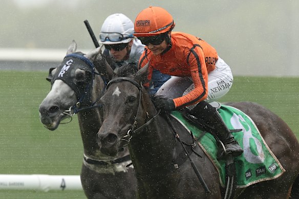 Jett Newman pilots Considered to victory in the Highway Handicap at Rosehill. 