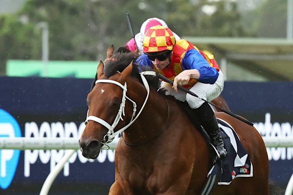 James McDonald boots home Autumn Boy to win the Rosehill Guineas.