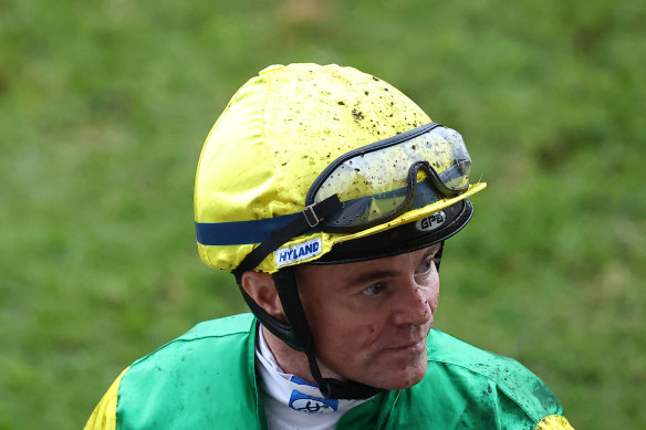 winning-trio-teams-up-for-midnight-dynamite-s-tilt-at-gosford-guineas