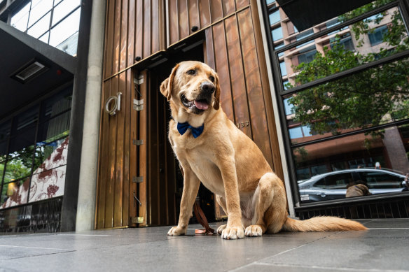 Part guard/part concierge… Russell at work.
