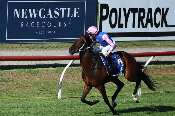 Midweek racing is back at Newcastle on Wednesday.