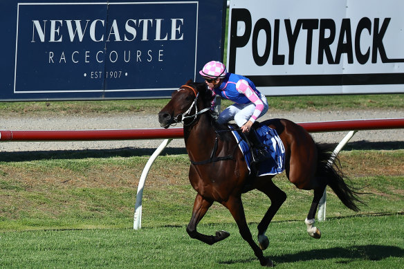 Newcastle Jockey Club will host an eight-race meeting on Tuesday.