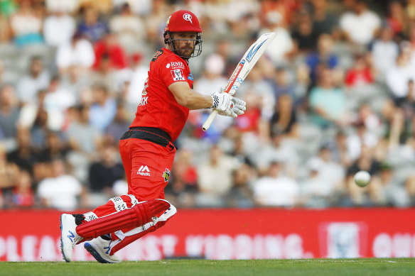 Renegades captain Aaron Finch.