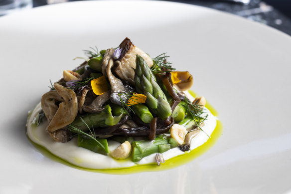 Charred asparagus, roasted and pickled mushrooms and tofu cream.