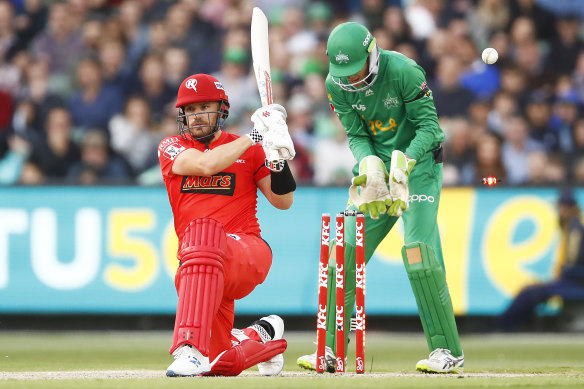 Aaron Finch of the Renegades is bowled by the Stars' Adam Zampa in their Big Bash League clash on Saturday night.