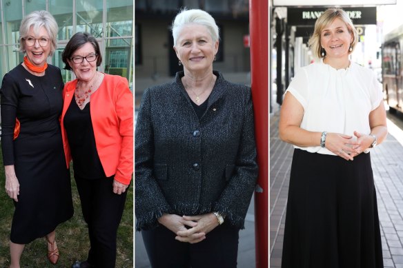 Trailblazing independent MPs, from left: Helen Haines, Cathy McGowan, Kerryn Phelps and Zali Steggall.