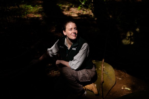 Tarryn Williams Clow, zookeeper at Taronga Zoo, stayed on the island for two weeks refining the habitat and diet with the surrogate species.