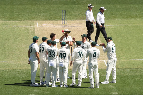 Pat Cummins celebrates his fifth wicket on Sunday at the Adelaide Oval. 