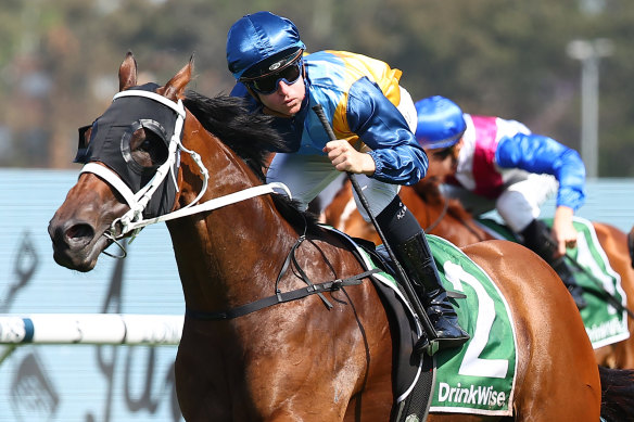 There is a confidence around Tommy Berry but he is realistic with his goals going forward. 