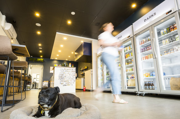 Old Habits is a dog-friendly craft beer store.