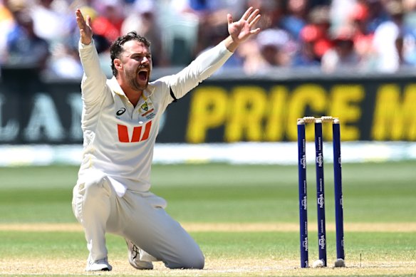 Travis Head throws himself into an appeal for lbw.