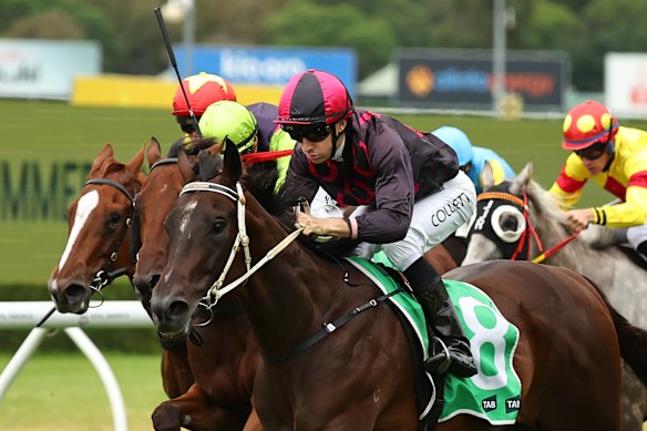 Warrior For Peace claimed the Cavanoughs’ third Country Championship spot.