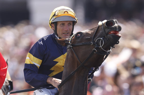 Damien Oliver returns to the mounting yard on Alenquer