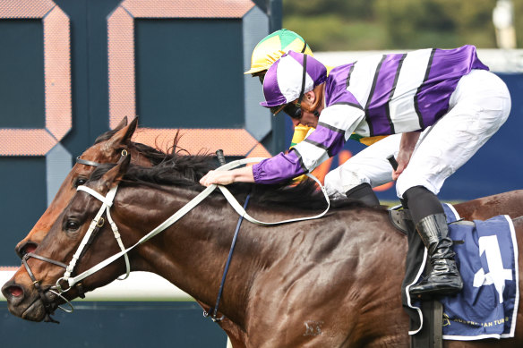 Last-start winner Caballus is a good chance for James McDonald in the first at Rosehill on Saturday,