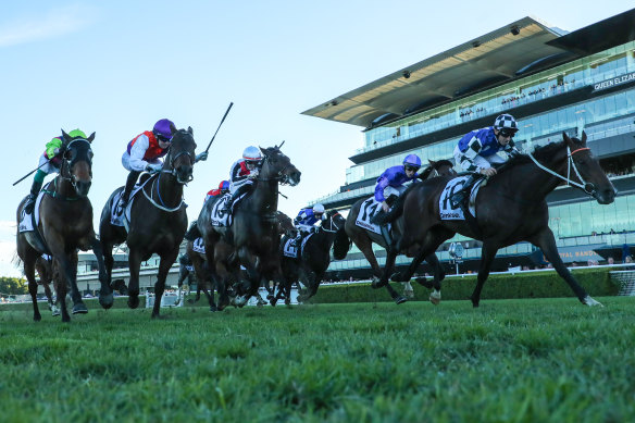 Danny Beasley rides Ucalledit to victory in the Civic Stakes at Royal Randwick on Saturday.