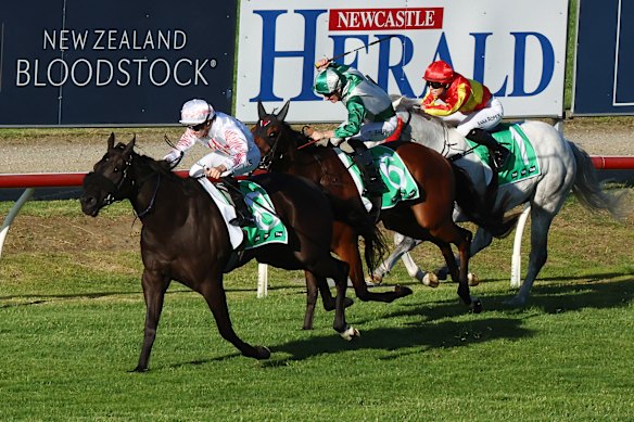 Racing returns to Newcastle on Thursday.