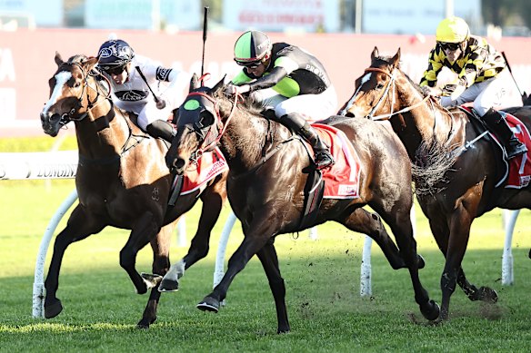 Race-by-race preview and tips for Saturday’s meeting at Randwick