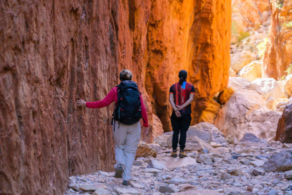 Test your mettle on an abridged version of the Larapinta Trail.