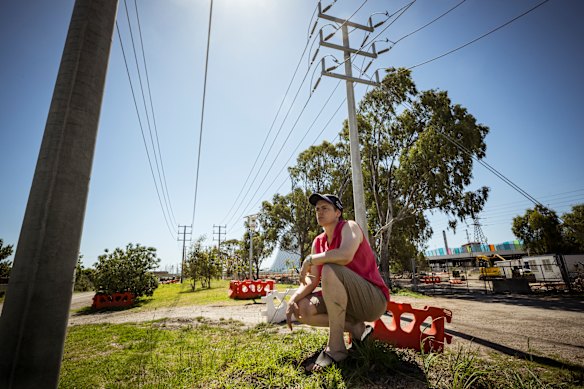 South Kingsville resident Julie Richards near the power poles opposite her home. 