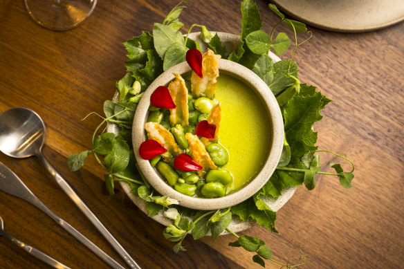 Steamed custard with peas, broad beans and tempura zucchini at Babae.