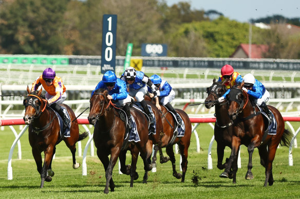 Broadsiding charges to the front in the Fernhill Handicap at Randwick last weekend.