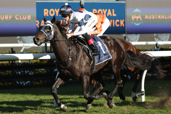 Zac Lloyd in the Darby silks steers Insurrection to victory at Randwick earlier in the month.