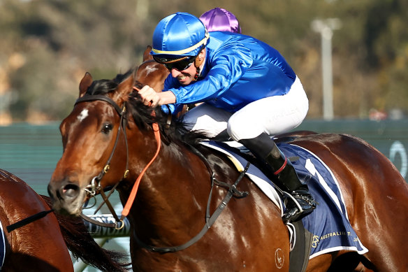 Nash Rawiller at his best in Godolphin blue as Tom Kitten takes out the Up And Coming Stakes at Randwick last month. 