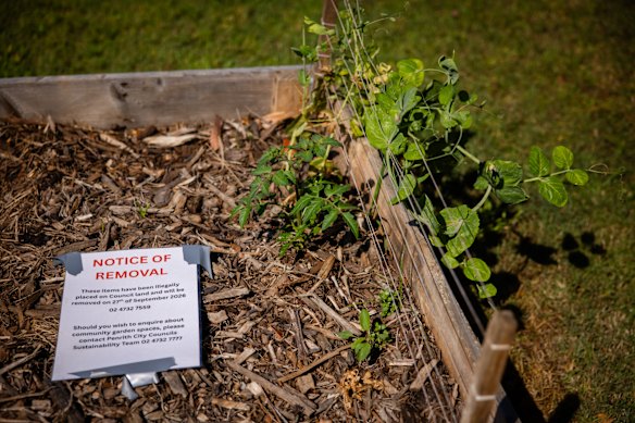 A notice of removal was taped to one of the garden beds.