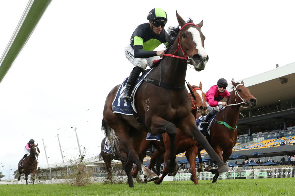 In Flight is the top selection in race 6.