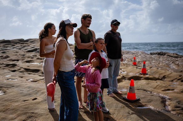 Onlookers gather as a whale carcass washed up in Lurline Bay in South Coogee.